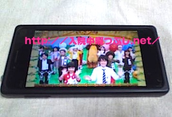 cq̓@̉ɂԂɍœKT[rXHulu